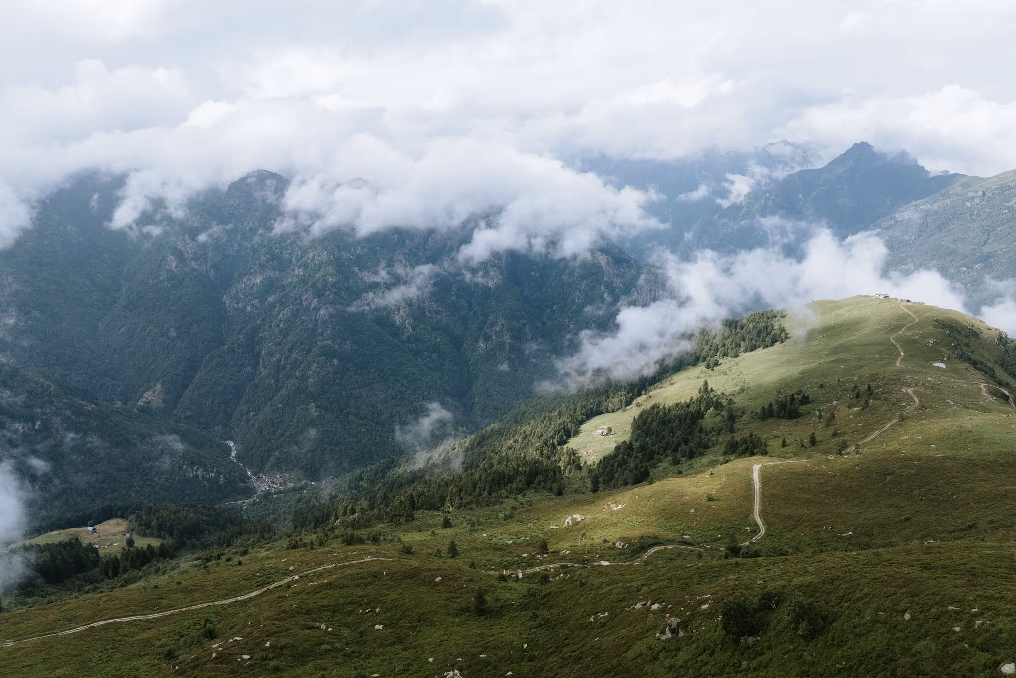 Sitting in silence above the treeline